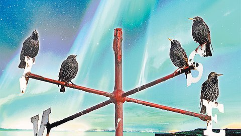 Опять всемирный потоп